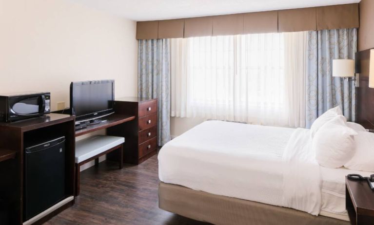 Guest room in Rodd Royalty, with bed, large TV, and big windows.