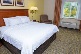 Candlewood Suites Boise guest room, featuring double bed, chair, and window.