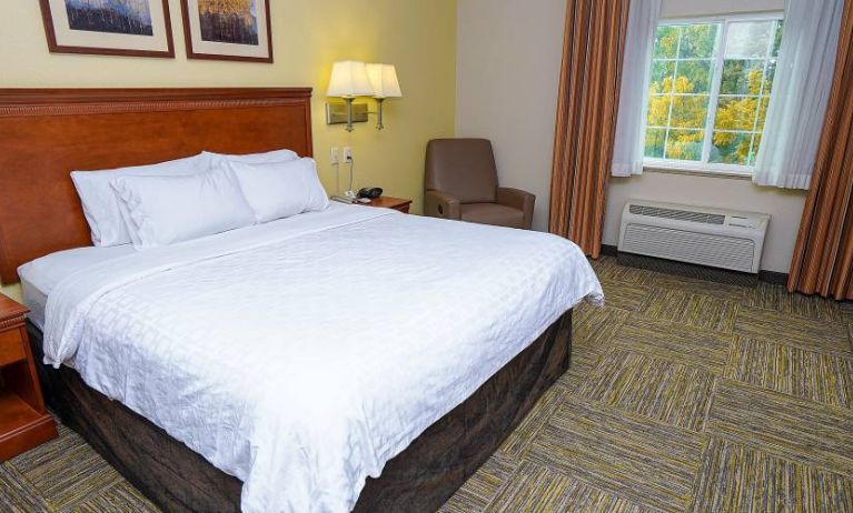 Candlewood Suites Boise guest room, featuring double bed, chair, and window.