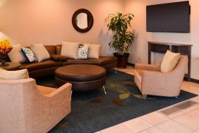 The hotel’s lounge in the lobby has comfortable seating, potted plants, and a widescreen TV.