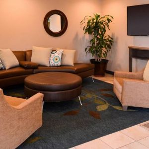 The hotel’s lounge in the lobby has comfortable seating, potted plants, and a widescreen TV.