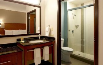 Private guest bathroom with shower at Hyatt Place Chicago/Lombard/Oak BRK.