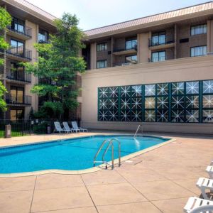 The hotel’s outdoor pool has nearby loungers, with trees offering shade from the sun.