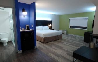 Holiday Inn Express Rolling Meadows-Schaumburg guest room, with double bed, window, and ensuite bathroom.