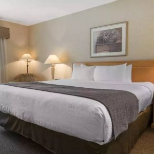 Guest room in Quality Inn Hotel Medicine Hat, including large double bed and window.