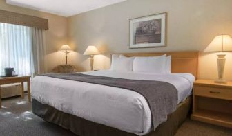 Guest room in Quality Inn Hotel Medicine Hat, including large double bed and window.