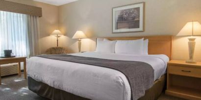 Guest room in Quality Inn Hotel Medicine Hat, including large double bed and window.