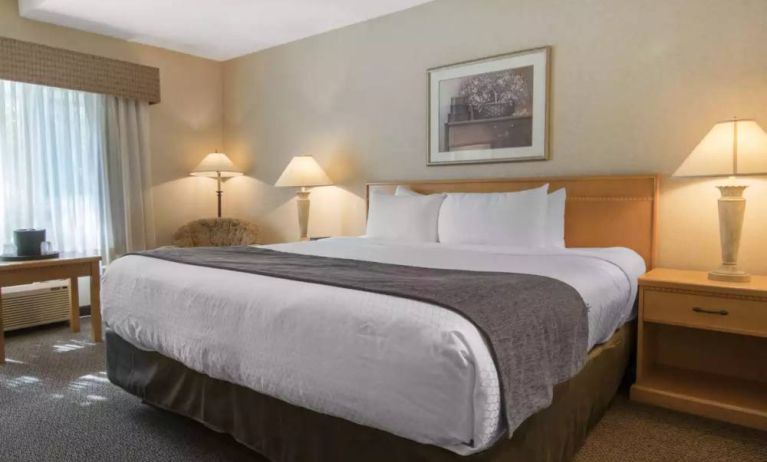 Guest room in Quality Inn Hotel Medicine Hat, including large double bed and window.