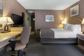 Quality Inn Hotel Medicine Hat guest room, featuring double bed, and workspace desk and chair.