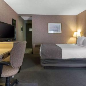 Quality Inn Hotel Medicine Hat guest room, featuring double bed, and workspace desk and chair.