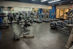 The hotel fitness center, featuring dozens of exercise machines.