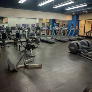 The hotel fitness center, featuring dozens of exercise machines.