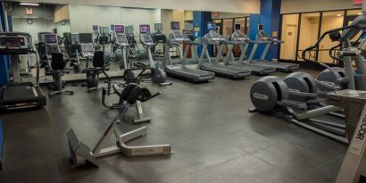 The hotel fitness center, featuring dozens of exercise machines.