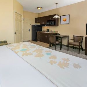 King bedroom with TV and kitchette at Hawthorn Suites By Wyndham Longview.