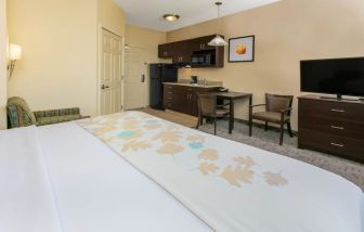 King bedroom with TV and kitchette at Hawthorn Suites By Wyndham Longview.