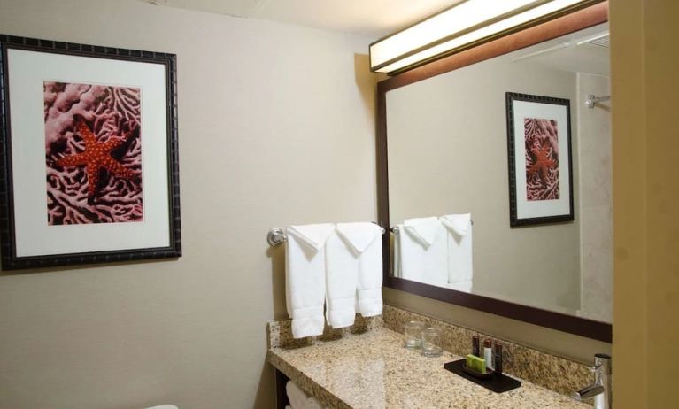 Guest bathroom with shower at Embassy Suites By Hilton West Palm Beach Central.