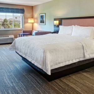 Spacious king bed with TV and natural light at Hampton Inn Vallejo.