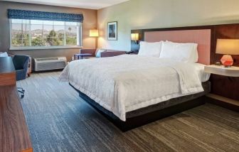 Spacious king bed with TV and natural light at Hampton Inn Vallejo.