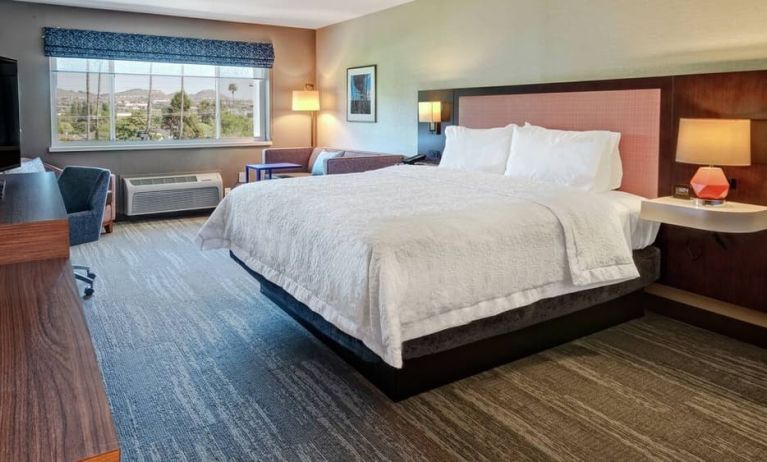 Spacious king bed with TV and natural light at Hampton Inn Vallejo.