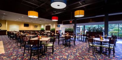 Holiday Inn Orlando SW - Celebration Area