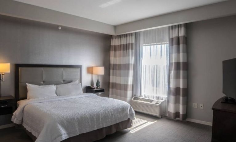 Delux king room with natural light at Hampton Inn & Suites Charlotte/Ballantyne.