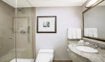 Private guest bathroom with shower at Hilton Garden Inn New York/West 35th Street.