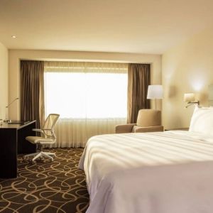 Lovely king bed with lots of natural light at Doubletree By Hilton Toluca.