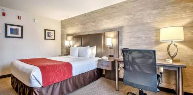 Comfort Inn And Suites Calgary South