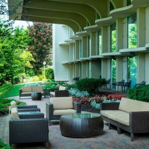 Courtyard at Boston Marriott Newton.