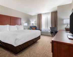 Spacious king bedroom with lots of natural light at Comfort Inn & Suites Napanee.