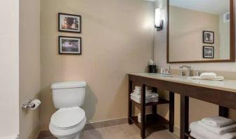 Private guest bathroom with shower at Comfort Inn & Suites Napanee.