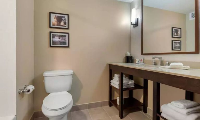 Private guest bathroom with shower at Comfort Inn & Suites Napanee.