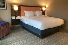 Comfortable delux king room with natural light at Hampton Inn By Hilton Port Hope.