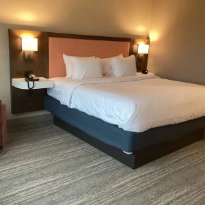 Comfortable delux king room with natural light at Hampton Inn By Hilton Port Hope.