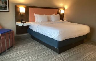 Comfortable delux king room with natural light at Hampton Inn By Hilton Port Hope.