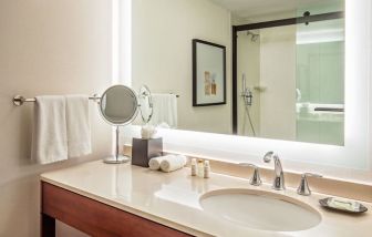 Private guest bathroom with shower at Sheraton Needham.