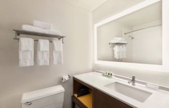 Private guest bathroom with shower at Holiday Inn Houston Intercontinental Airport.