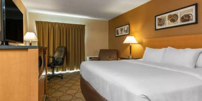 Comfort Inn Kingston HWY 401