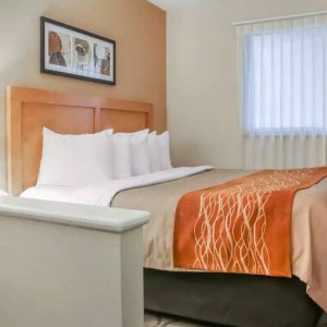 Comfort Inn Winnipeg II South