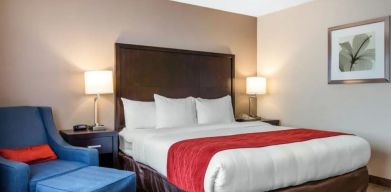 Cozy king bedroom with private bathroom at Best Western San Diego Zoo/SeaWorld Inn & Suites.