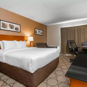 Comfort Inn Corner Brook