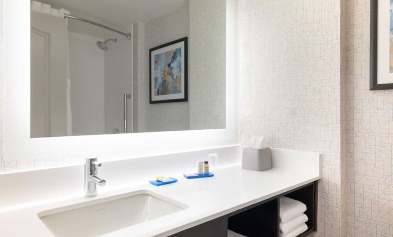 Guest bathroom with shower at Holiday Inn Express & Suites Boston-Cambridge.