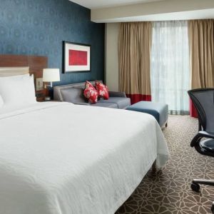 Delux king room with TV and work space at Hilton Garden Inn Washington DC / Georgetown Area.