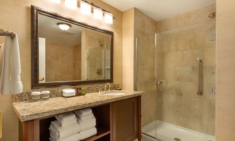 Private guest bathroom with shower at Embassy Suites By Hilton Savannah.