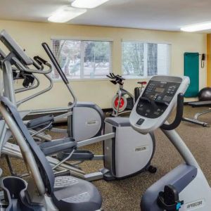 Fitness facility available at Wild Palms Hotel.