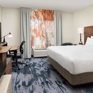 Delux king room with natural light at Fairfield Inn & Suites by Marriott Baltimore BWI Airport.