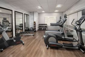 Well equipped fitness center at Fairfield Inn & Suites by Marriott Baltimore BWI Airport.