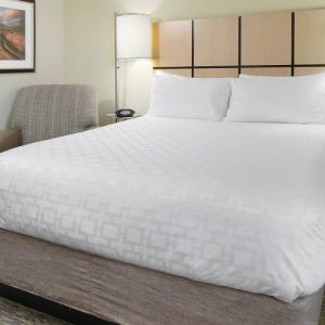 Candlewood Suites Odessa