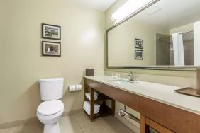 Private guest bathroom with shower at Comfort Inn Pomona Near Fairplex.