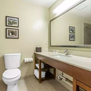 Private guest bathroom with shower at Comfort Inn Pomona Near Fairplex.